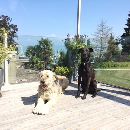 Lakelodge Romanshorn Esterno foto