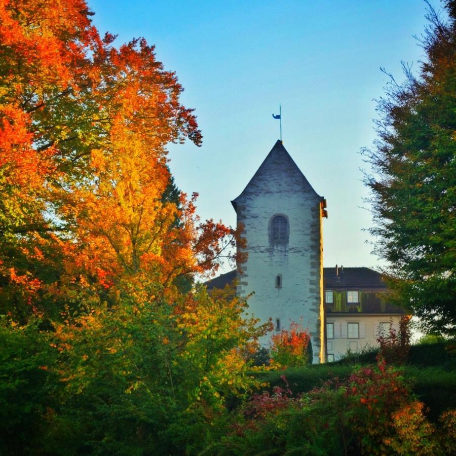 Lakelodge Romanshorn Esterno foto