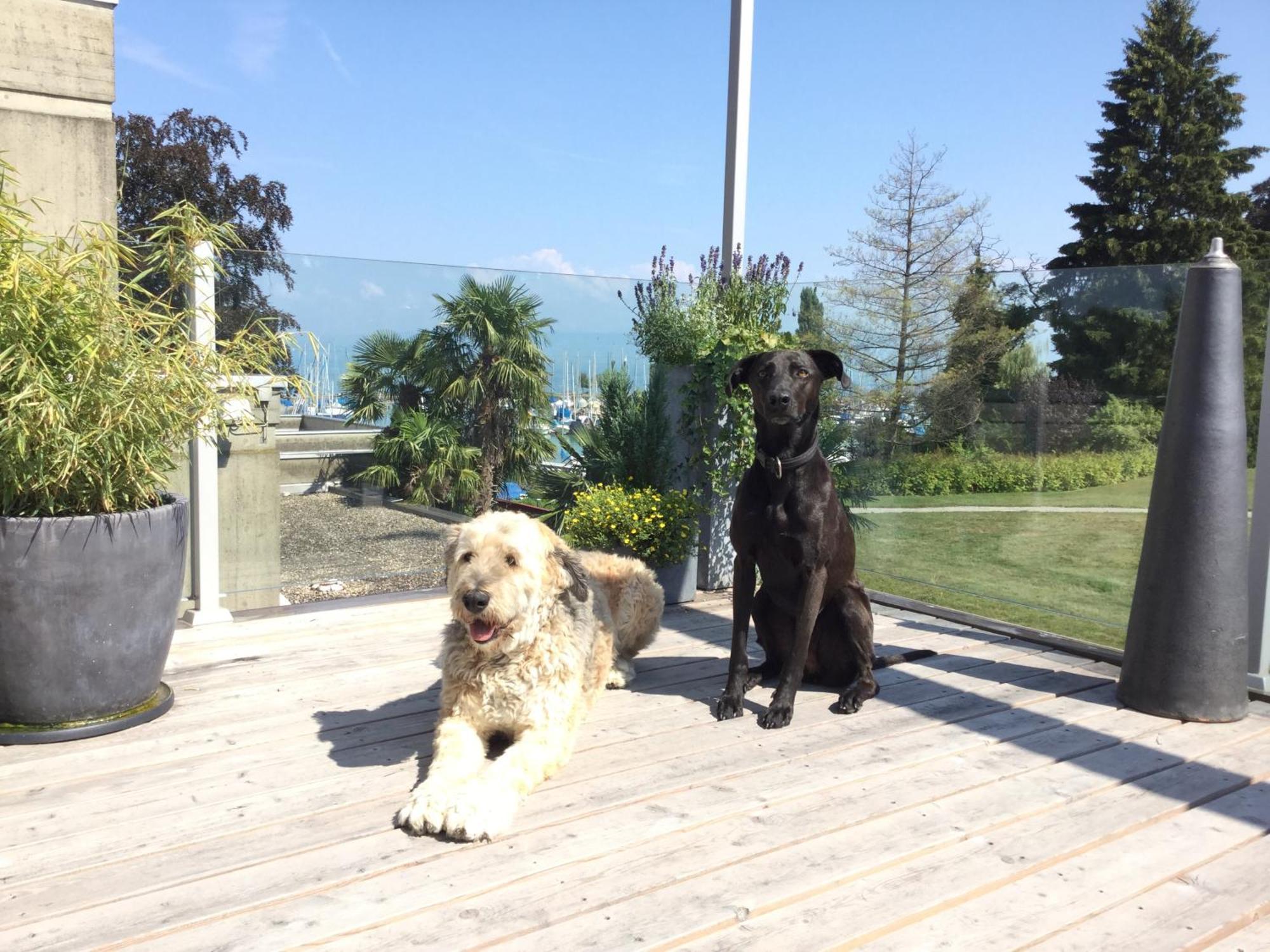 Lakelodge Romanshorn Esterno foto